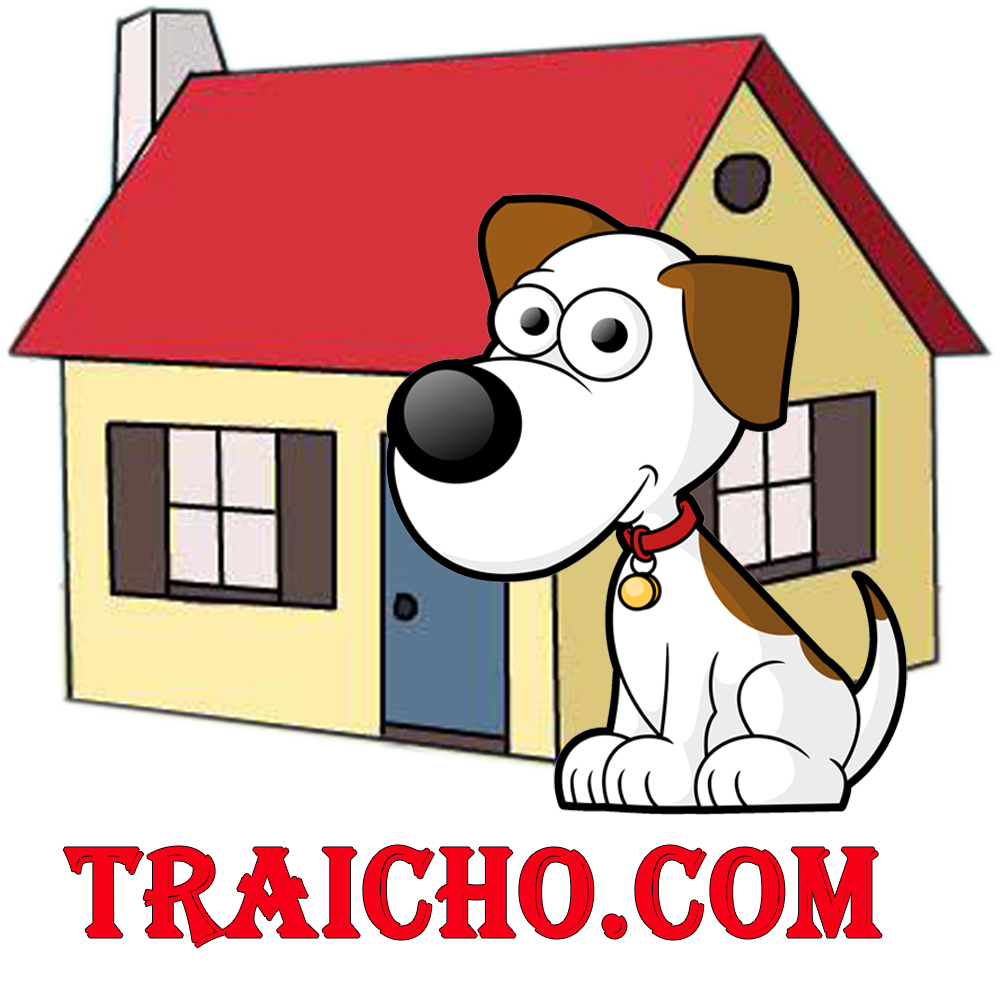 TraiCho.Com