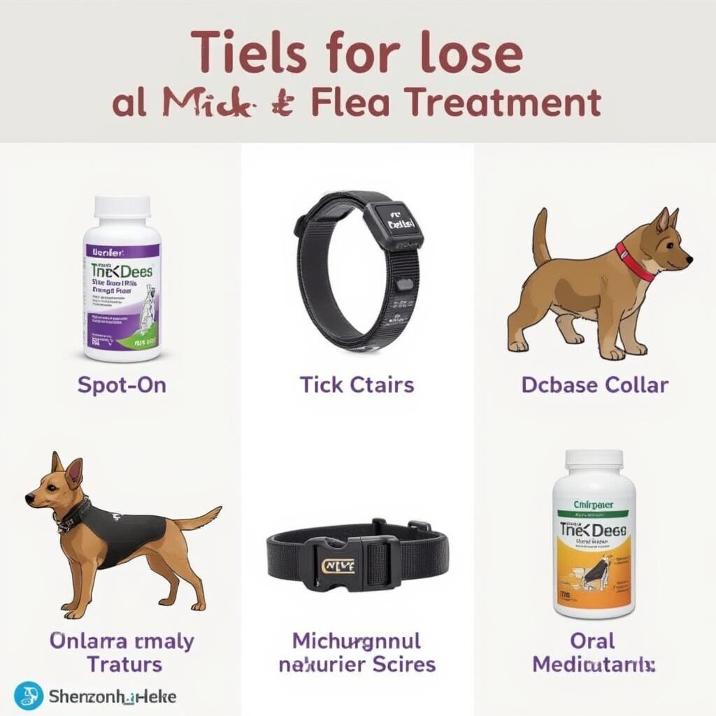 Các loại thuốc trị ve chó phổ biến