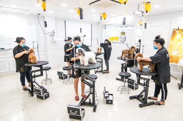 Lớp học grooming tại Kimipet TPHCM
