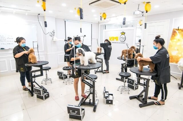 Lớp học grooming tại Kimipet TPHCM