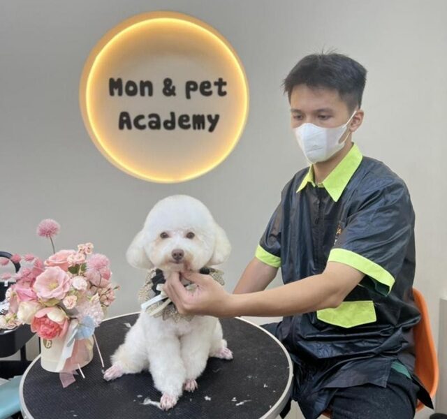 Khóa học Mon&Pet Academy